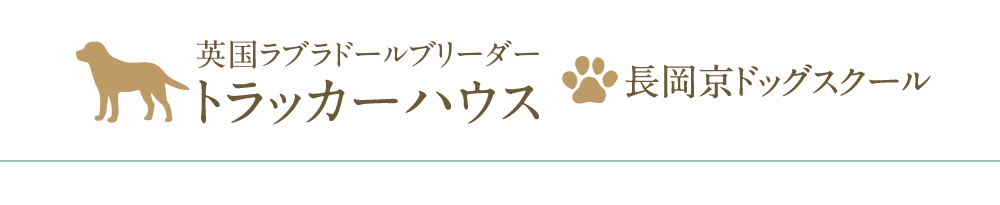 京都 英国ラブラドールレトリバーブリーダー トラッカーハウス 子犬販売 訓練済み犬 交配 繁殖